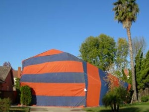 image of house being tented for termites