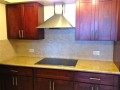 Touch cooktop and Italian range hood