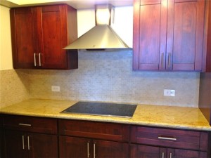 Touch cooktop and Italian range hood